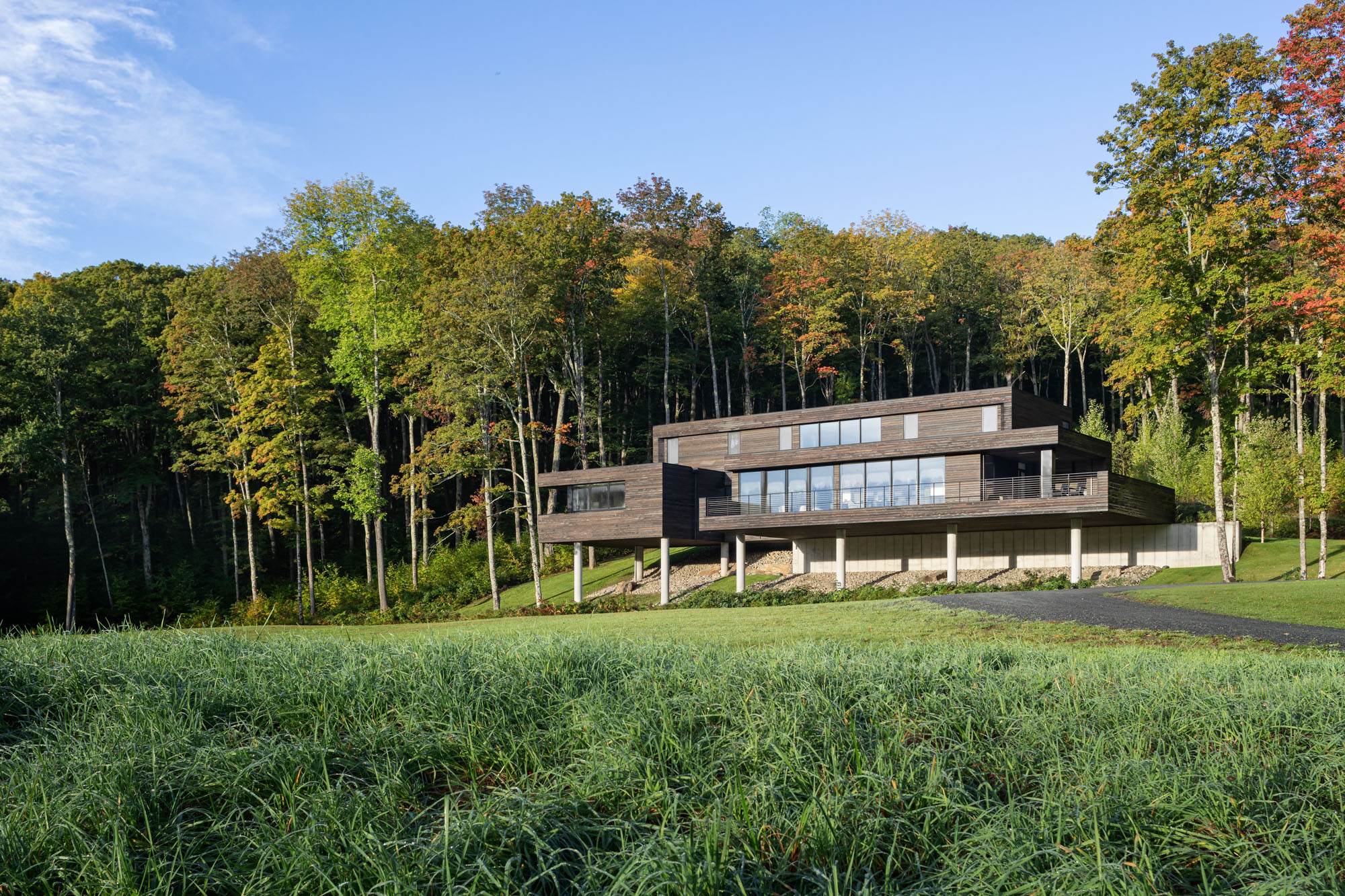 Modern hillside home with dark timber cladding, cantilevered structure on concrete columns, large format windows